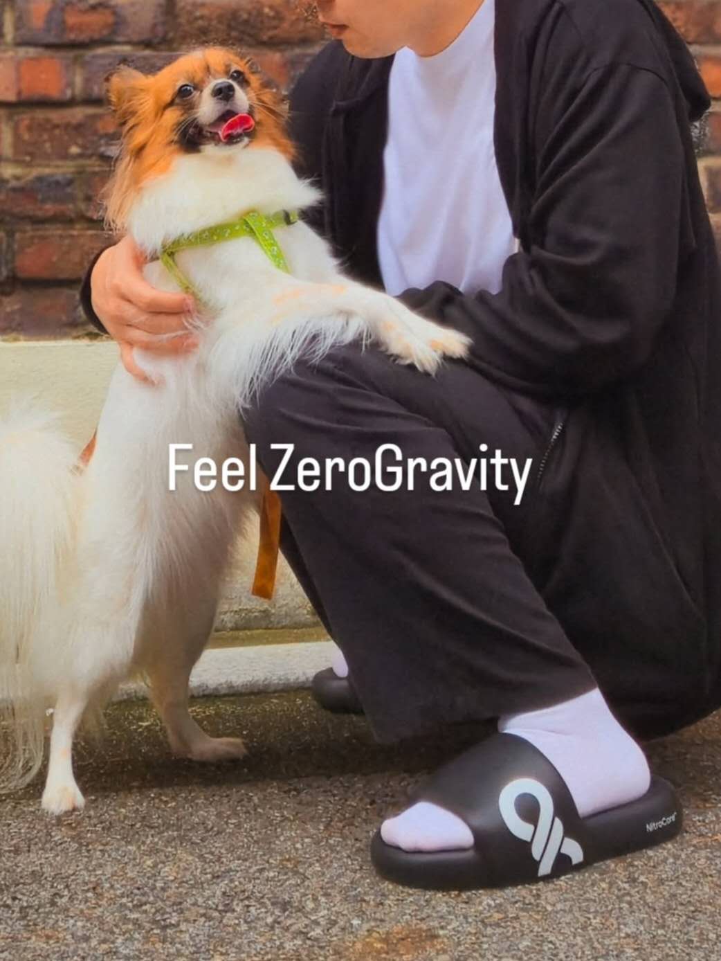 Weixin Image_20251016123218_1027_6.jpg