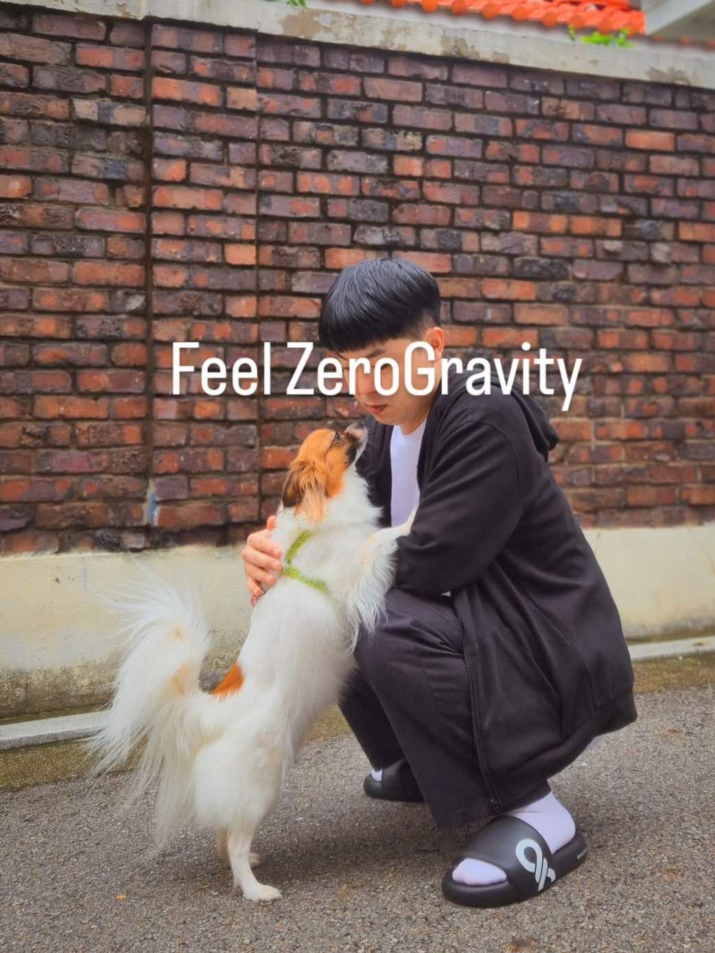 Weixin Image_20251016123217_1026_6.jpg