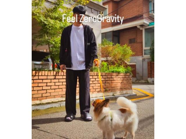 강아지산책 슬리퍼