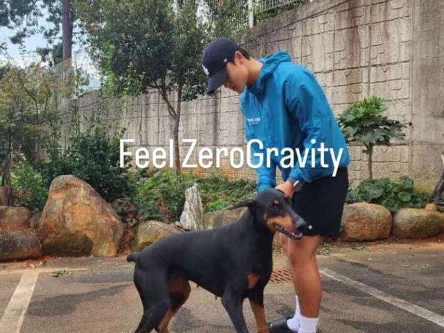 강아지 산책 슬리퍼